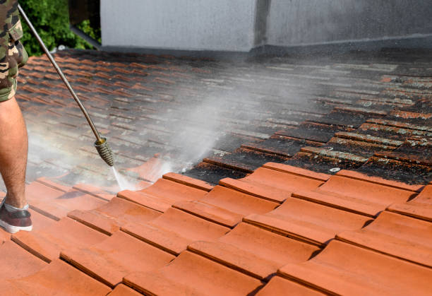 Best Residential Pressure Washing Services  in Osseo, MN